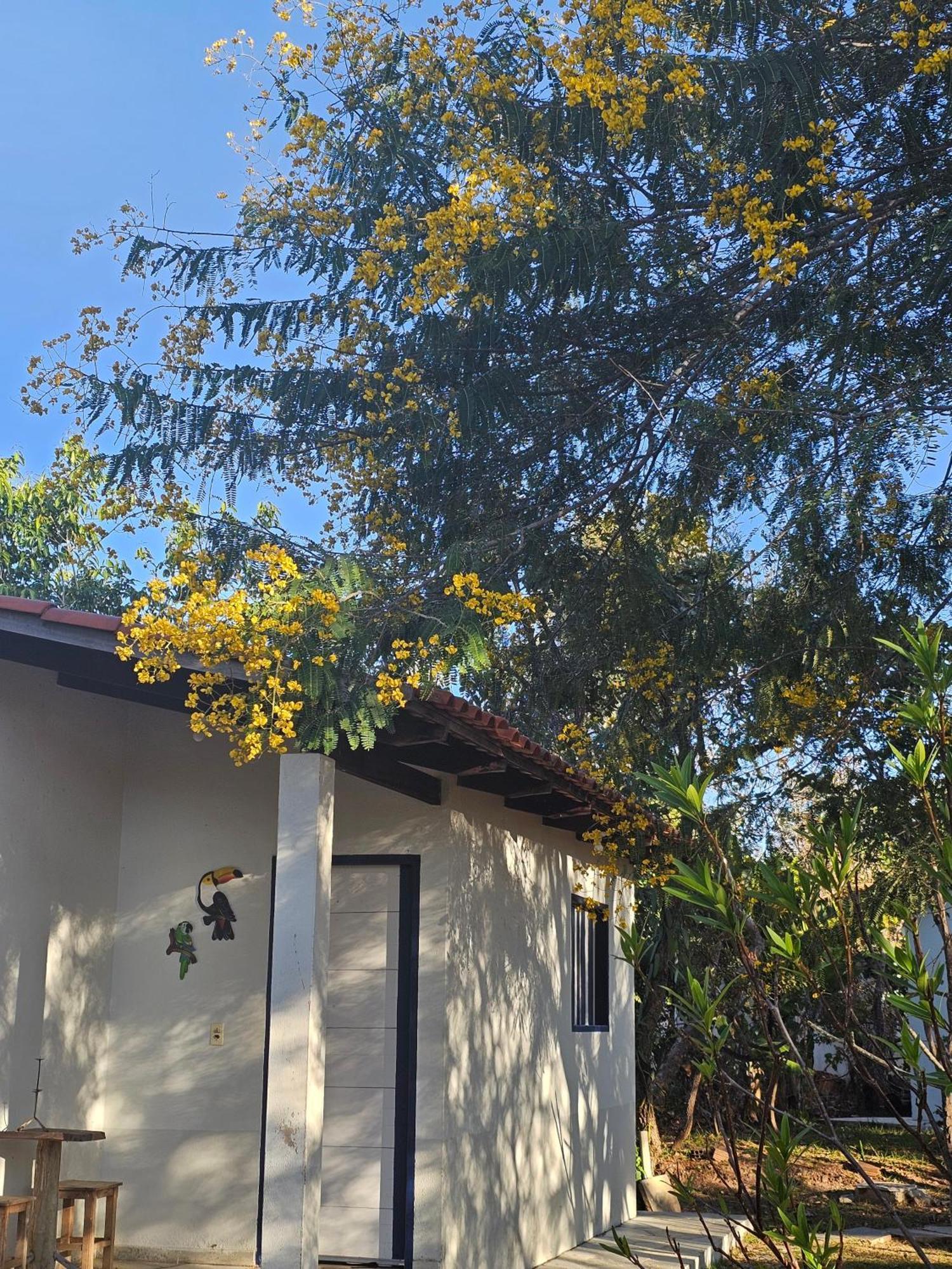 Estância Morro Do Frota Pirenópolis Exterior foto